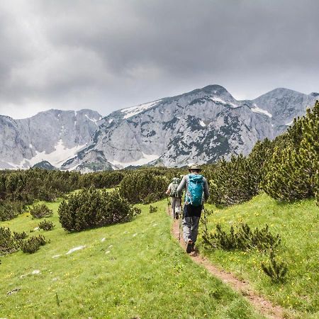 Turisticki Kompleks - Montana Tjentiste Eksteriør bilde